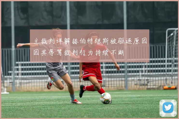 主裁判详解赫伯特琼斯被驱逐原因因其辱骂裁判行为持续不断