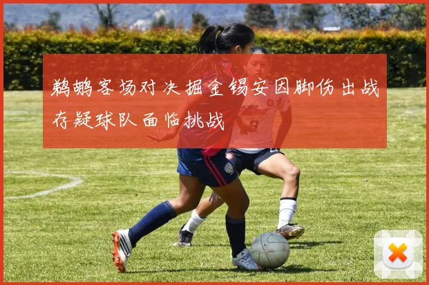鹈鹕客场对决掘金锡安因脚伤出战存疑球队面临挑战