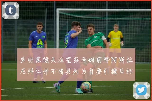 多特蒙德关注霍芬海姆前锋阿斯拉尼拜仁并不将其列为首要引援目标