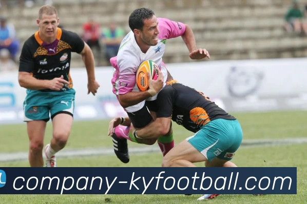 开云足球平台生态图