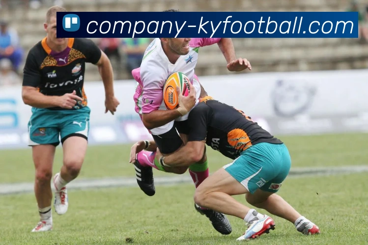 开云足球APP 封面图